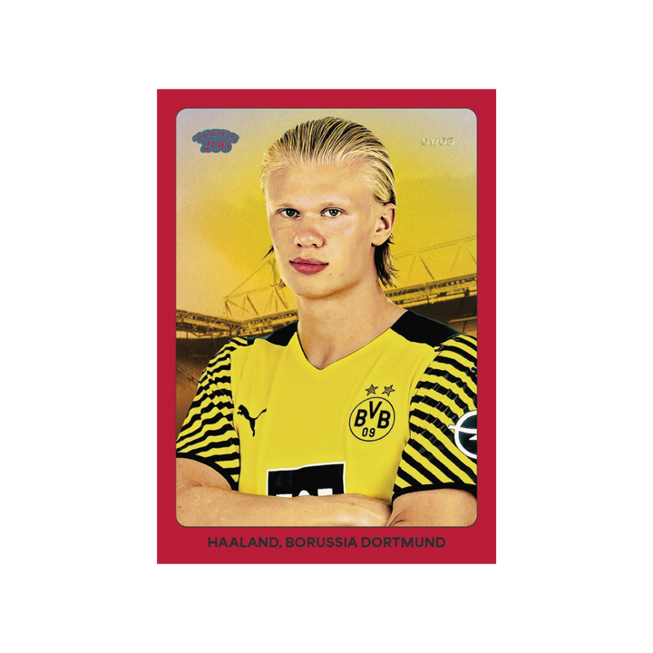 Topps Borussia Dortmund BVB 2024/25 Team Set Box