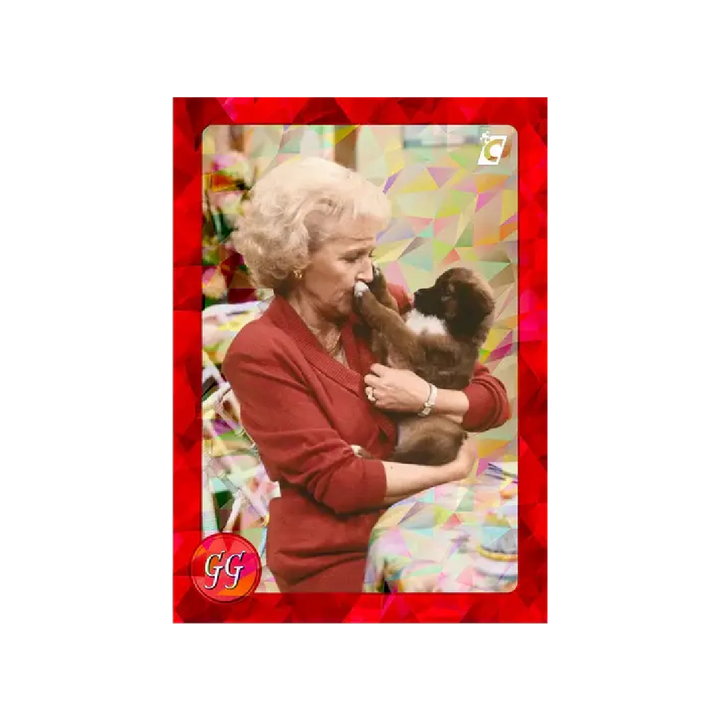 The Golden Girls Series 1 Trading Cards 2-Pack Collector Box