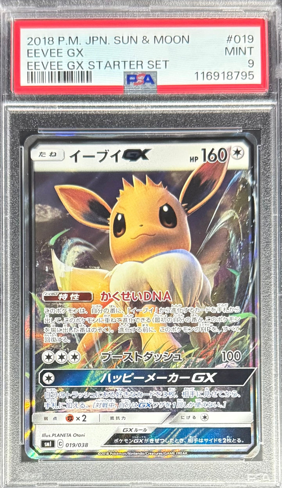 Pokemon Eevee GX 019/038 Pokemon Sun & Moon Starter Set 2018 PSA9
